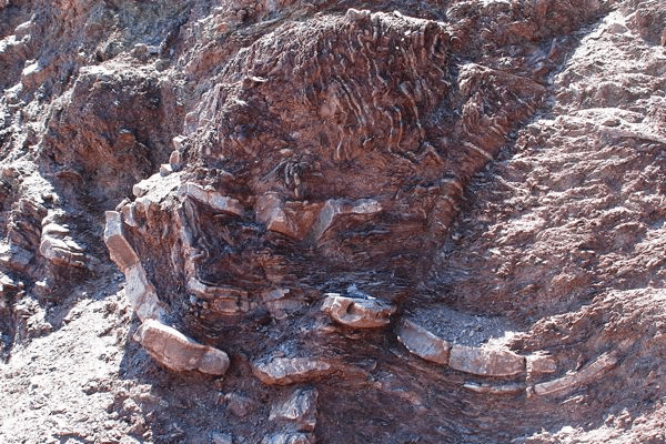 Outcrop expressions in Chert Series Beds