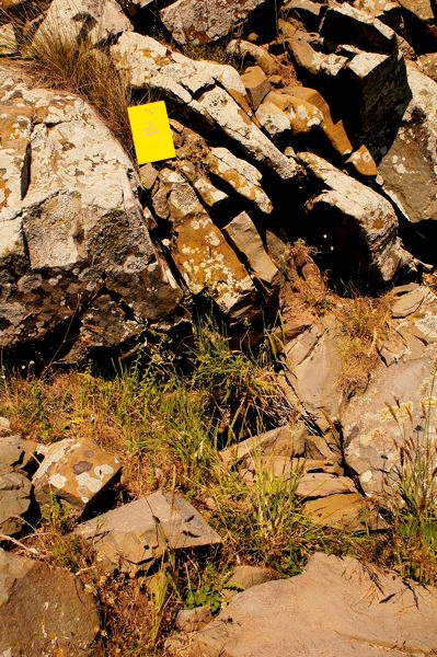 Fractured sandstone of First Flysch Beds.