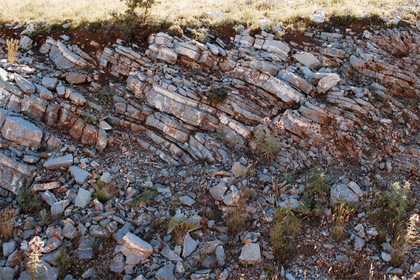 Photographs of outcrop character of Thin Platy Limestone Beds