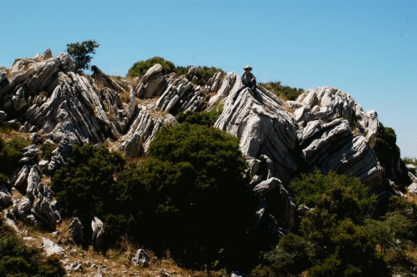 Photographs of folding within Thick White Limestone Beds