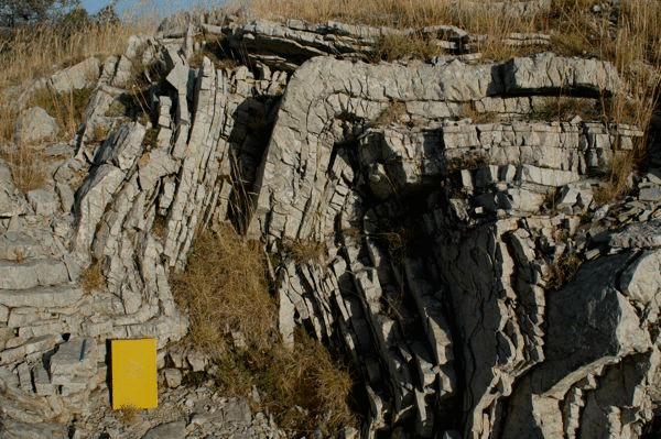 Flysch Transition Beds.