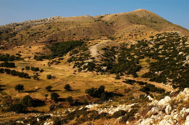 View of Sanctuary of Zeus from the north.