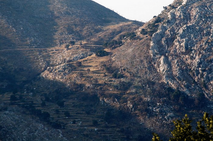 Overturned limb of St. George anticline.