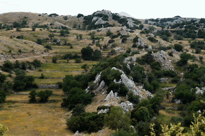 View of coordinated array of folds and fields.