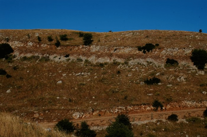 Exposures of Flysch Transition Beds.