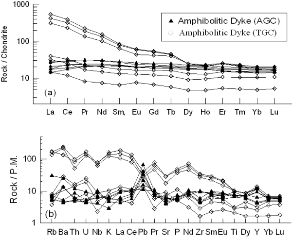 REE and multi-element plot for amphibolite dykes from TGC and AGC