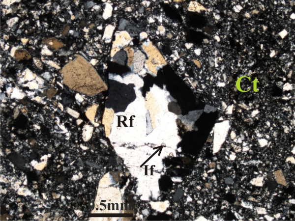 Relict of rock fragment clast within cataclastic rock