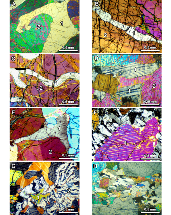 Representative micro-textures of the impregnated plagioclase peridotites.