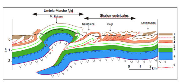 Geological section throuh the inner ridge of the Umbria-Marche Apennines (modified after Massoli et al., 2006).