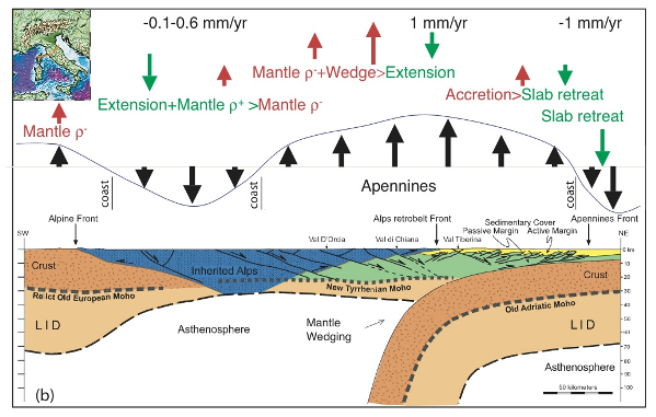 Lithospheric scale cross-section from Corsica to the Adriatic (modified after Carminati et al., 2004) and present-day vertical motions.