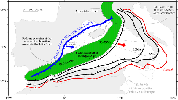 The W-directed Apenninic subduction started in the western Mediterranean in the Eocene(?)-Early Miocene along the retrobel belt of the Alps-Betics orogen (in green).
