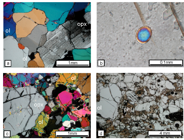 Photomicrographs of xenolith spinel peridotites from Vulture and Torre Alfina volcanoes.