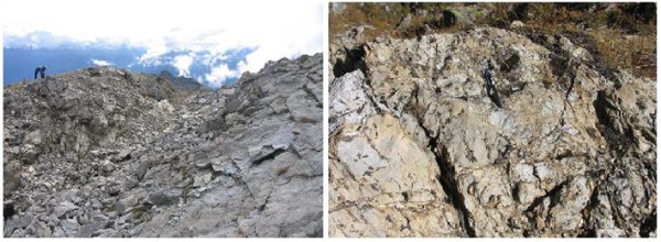 Roisan and Mt Dolin metasedimentary cover units.