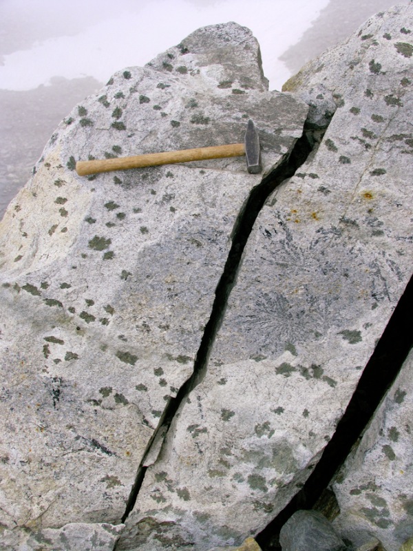 High-grade pre-granitic complex of Monte Rosa nappe.