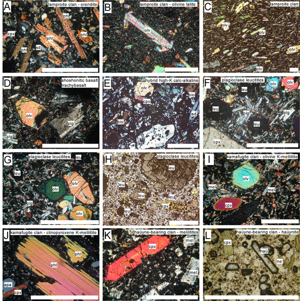 Microphotographs of thin sections of ultrapotassic and related volcanic and sub-volcanic rocks in Italy and surroundings