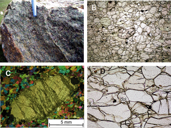 Meso and microstructures of mylonitic (garnet + amphibole ± dolomite) peridotites.