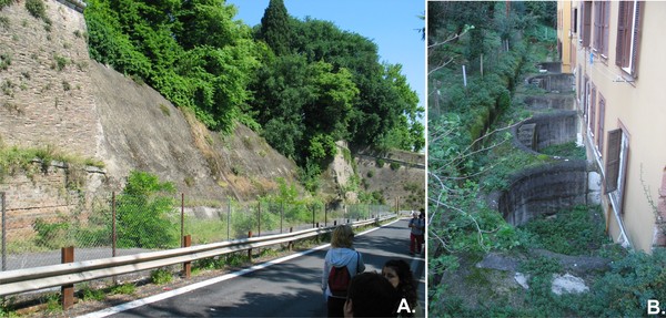 Landslides in Roma (I)
