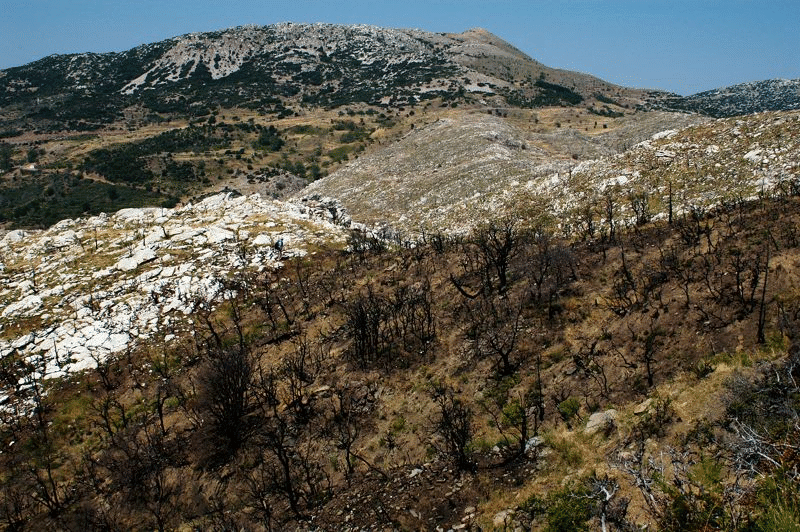 Agios Elias
