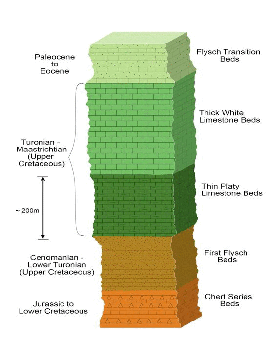 Stratigraphic column for study area.