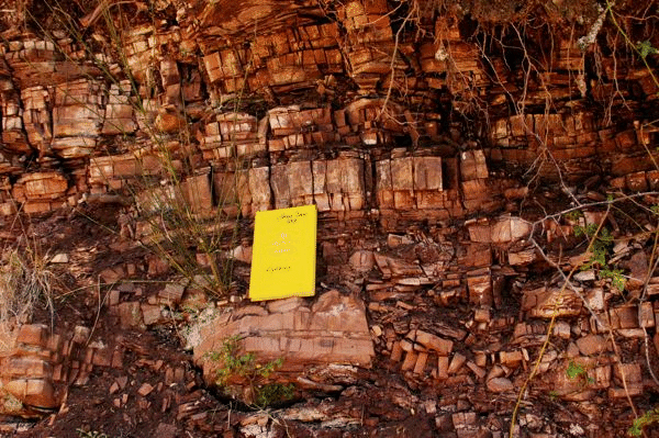 Outcrop expressions in Chert Series Beds