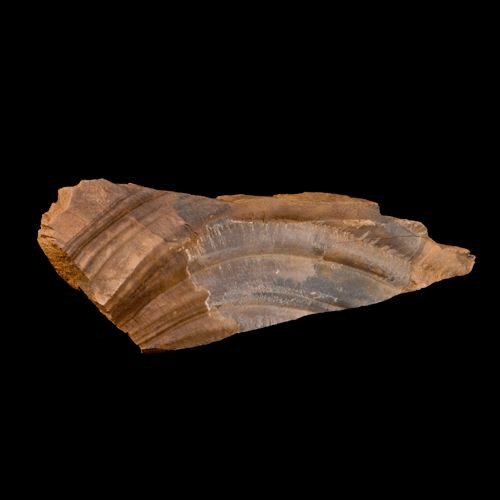 Photograph of jointed specimens of bedded chert from the Chert Series Beds