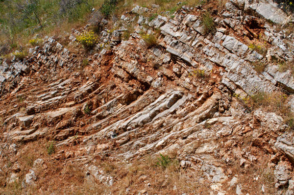 Photographs of outcrop character of Thin Platy Limestone Beds