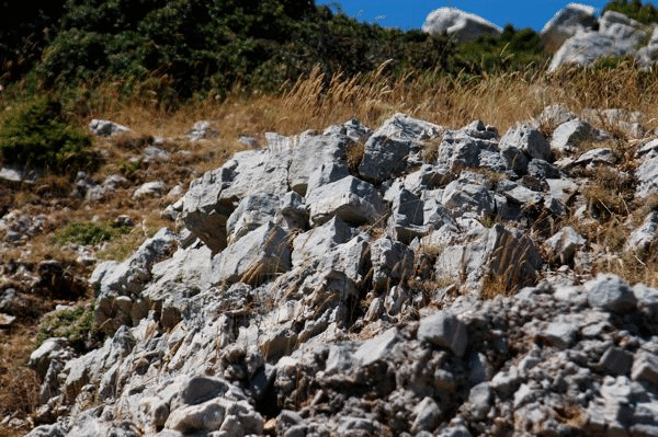 Photographs of outcrop character of Thin Platy Limestone Beds