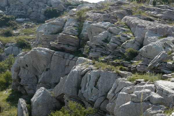 Photographs of outcrops of Thick White Limestone Beds