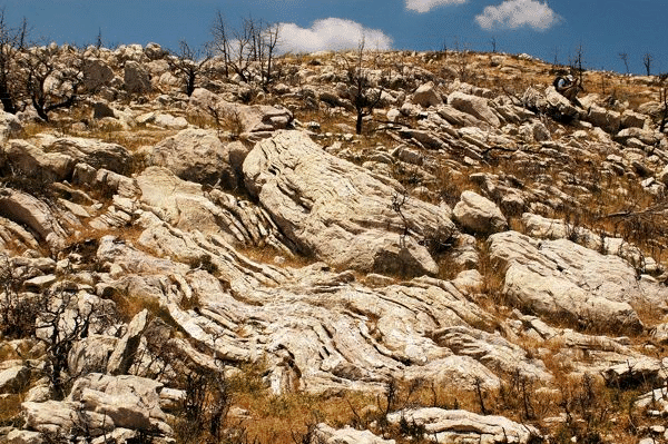 Photographs of outcrops of Thick White Limestone Beds