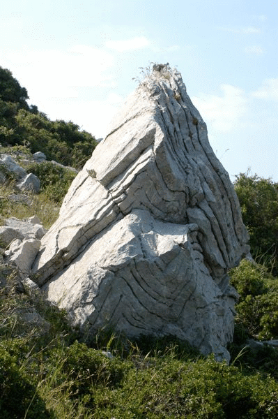 Float block of tightly-folded stylobedding in Thick White Limestone Beds.