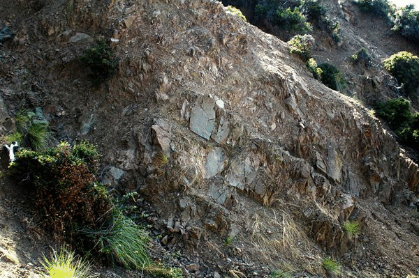 Thrust fault damage within First Flysch Beds.