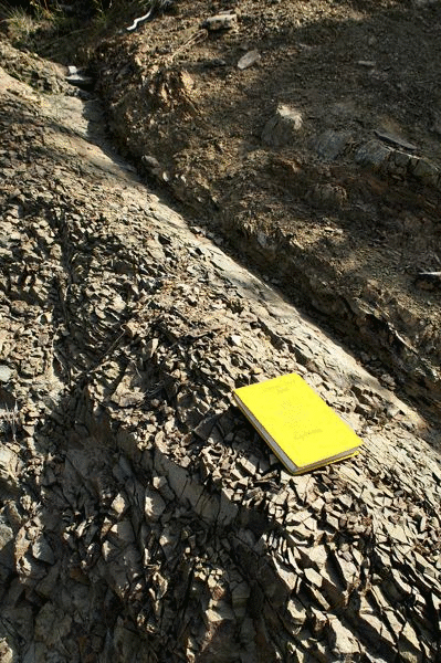 Thrust fault damage within First Flysch Beds.