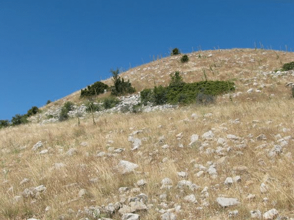 "Steps" in hillside, caused by active faulting.