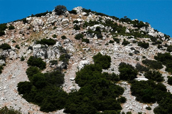 Scree deposits and rock falls along Lykios fault zone.