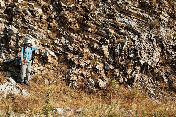 Outcrop expression of Thin Platy Limestone Beds near Stop B.