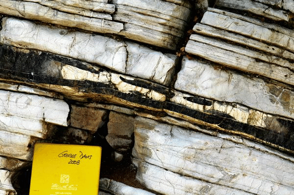 Black chert layer within Flysch Transition Beds.