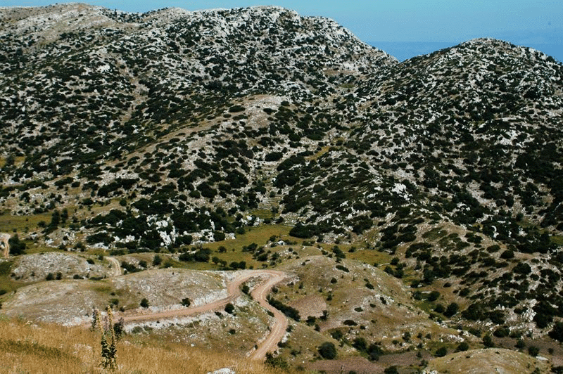 Characteristic landscape of Thick White Limestone Beds.