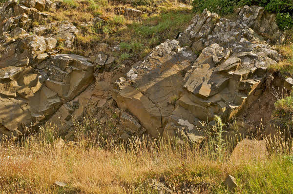 Outcrop character of First Flysch Beds.
