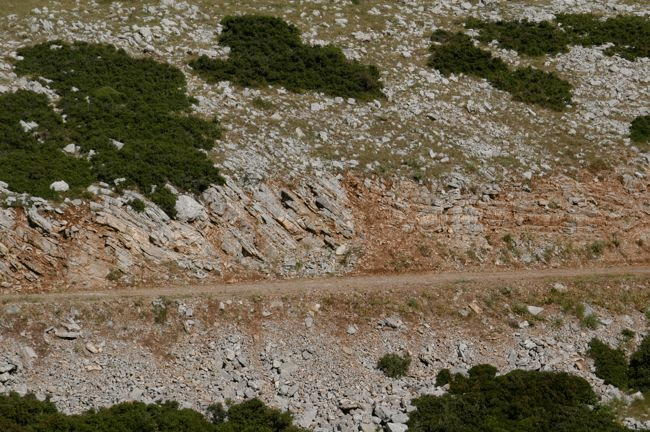 Outcrop expression of Thin Platy Limestone Beds.