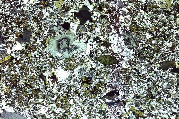 Plagioclase and hornblende phenocrysts in microgranitoid enclave