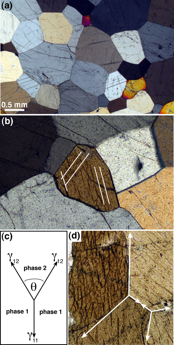 Texturally equilibrated microstructures