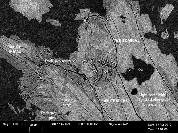 Backscatter image of several grains of white mica indicating the variation in composition using tonal variation (dark to light grey).