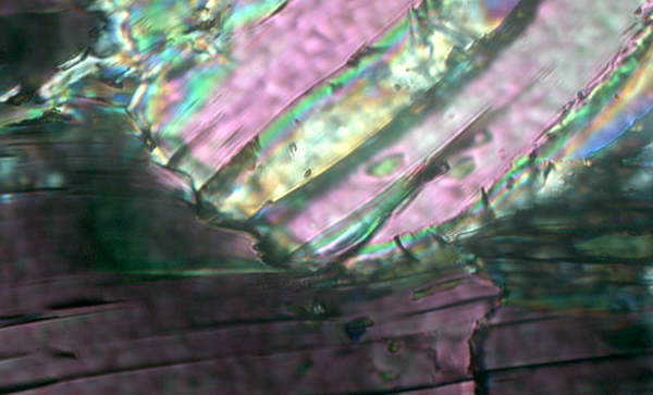 Microphotograph of recrystallisation at the terminal point of a broken white mica.