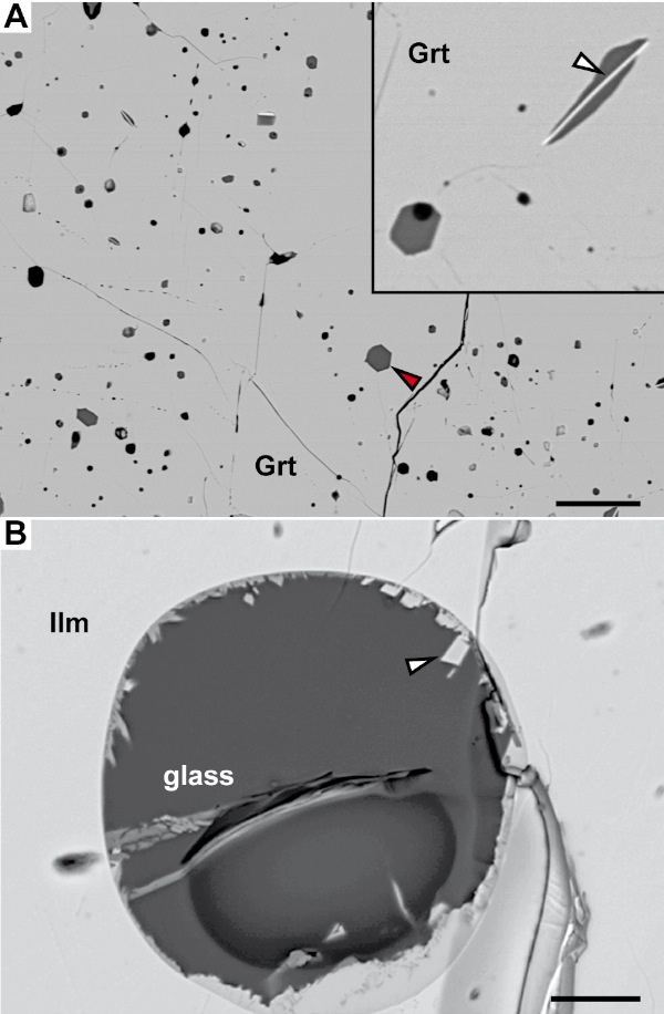 SEM microstructures of MI in spanish xenoliths