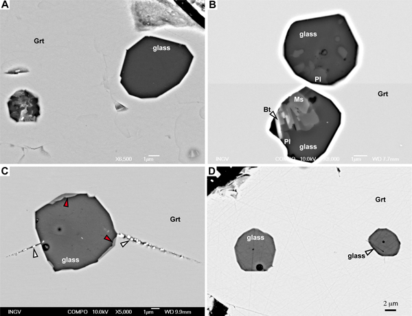 SEM microstructures of MI and remelted nanogranites