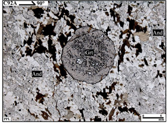 The photomicrographs show garnet porphyroblast within younger mineral phases