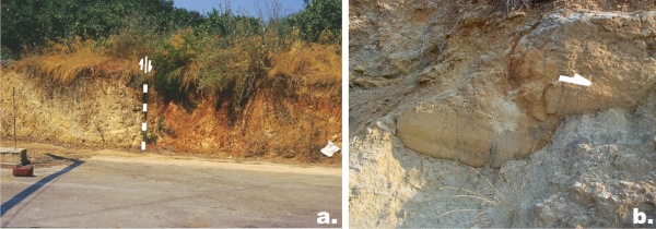 Photos showing influence of the faults to Pliocene and Pleistocene sediments