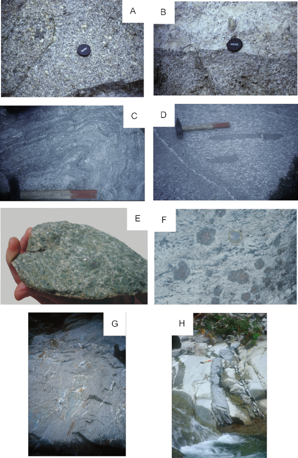 Mesostructural features of the Lago della Vecchia metagranite and associated rocks