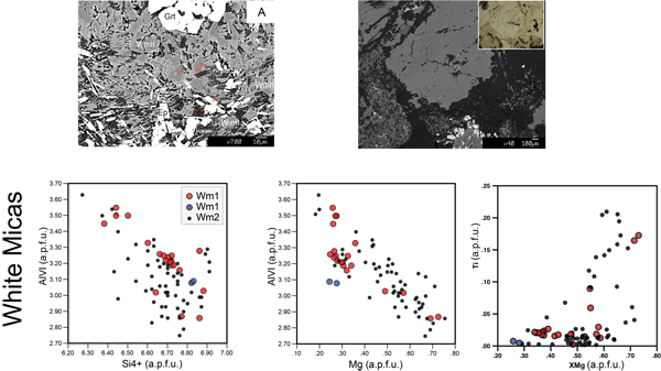 Compositional diagrams of white mica and epidote. A) Compositional diagrams of white mica and epidote showing the compositional variations of the mineral phases with respect to the occupied positions as displayed in