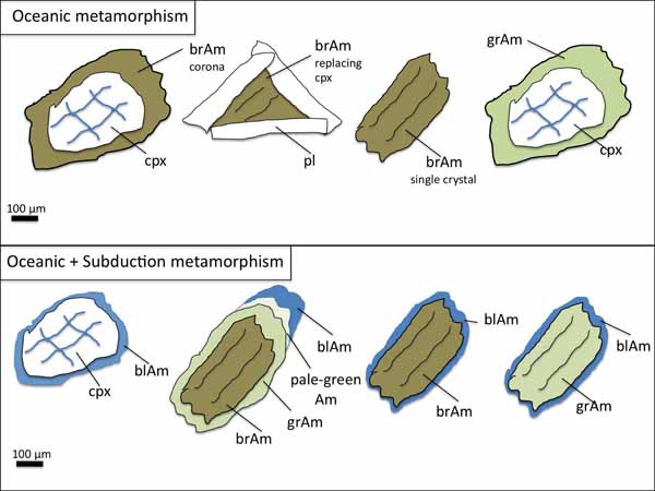 Simplified sketch of amphiboles in metadolerite samples.